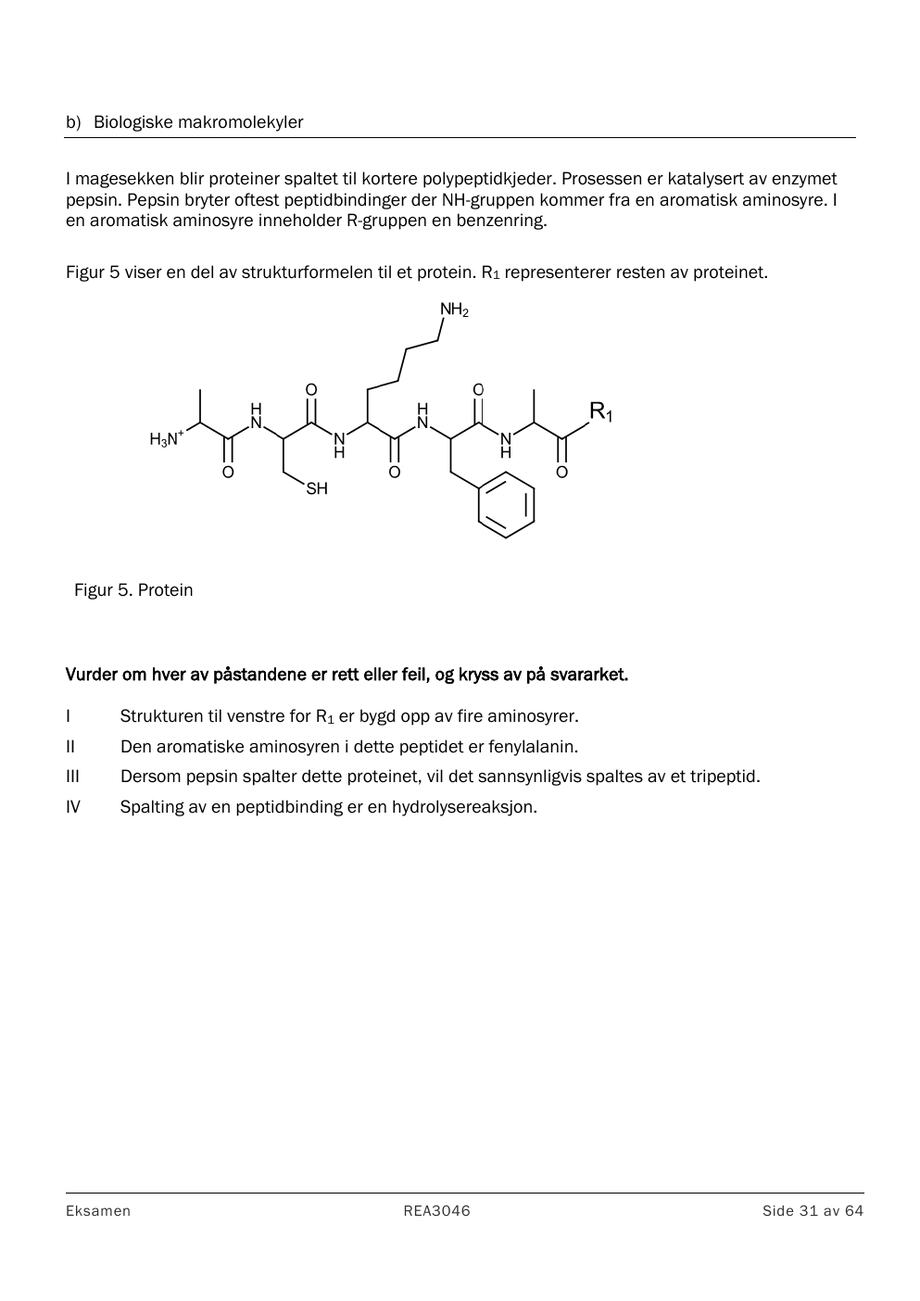 Udir side 31: proteinstruktur og pepsin